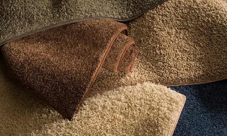 What Type of Carpet Should You Choose?