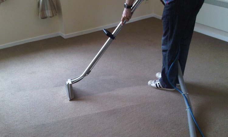 Why Your Carpet May Need Dry Shampooing