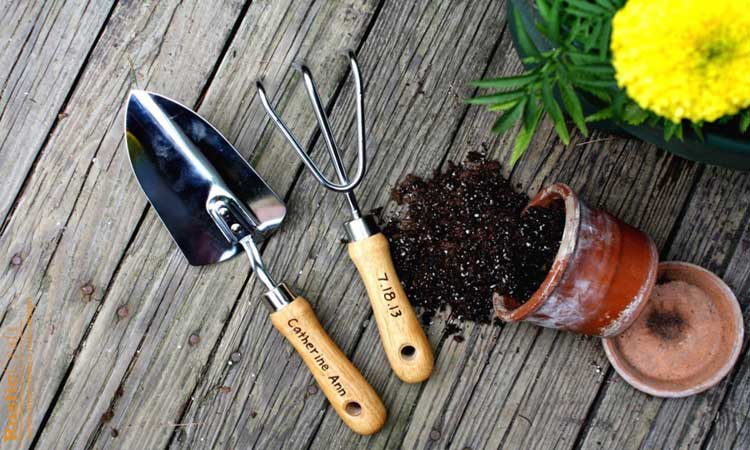 Basic Tools for Gardening