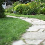 8 Tips For Caring For Your Landscaping During Long Hot Summers