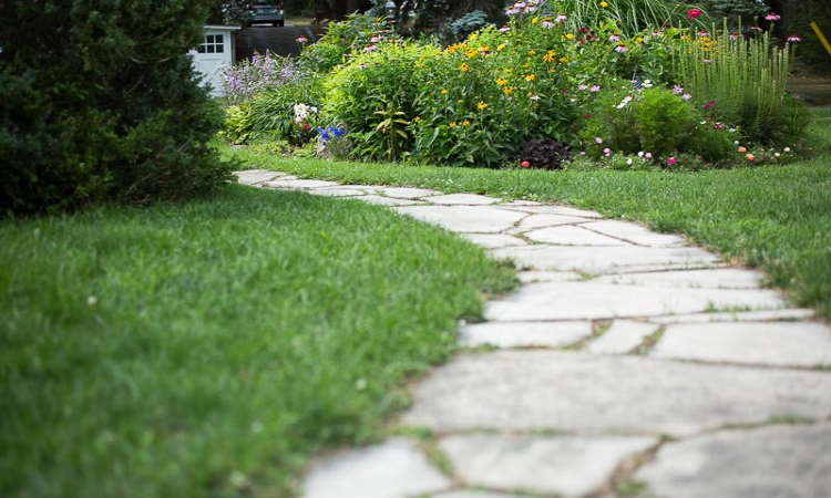 8 Tips For Caring For Your Landscaping During Long Hot Summers